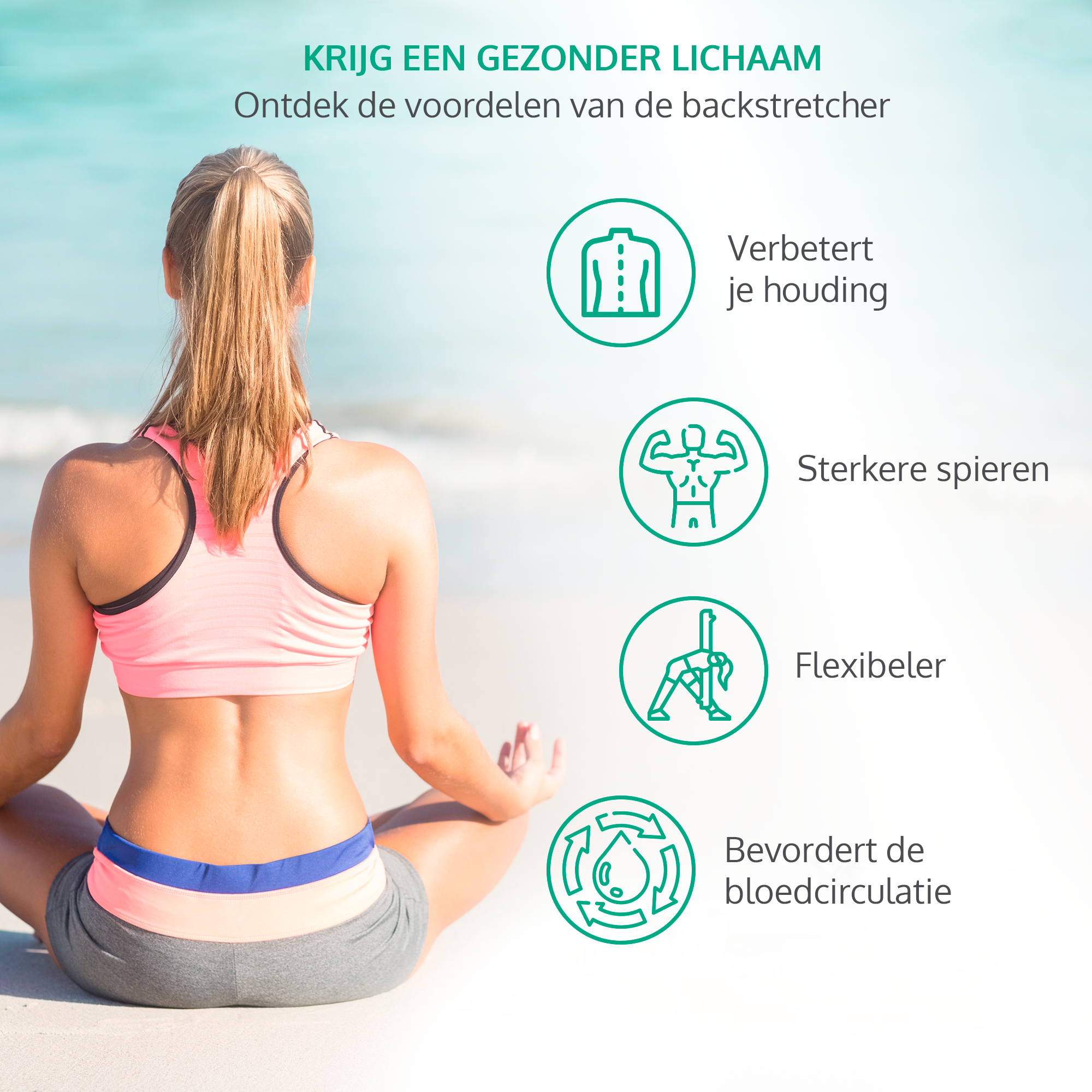 Dreaver Backstretcher - Beukenhout