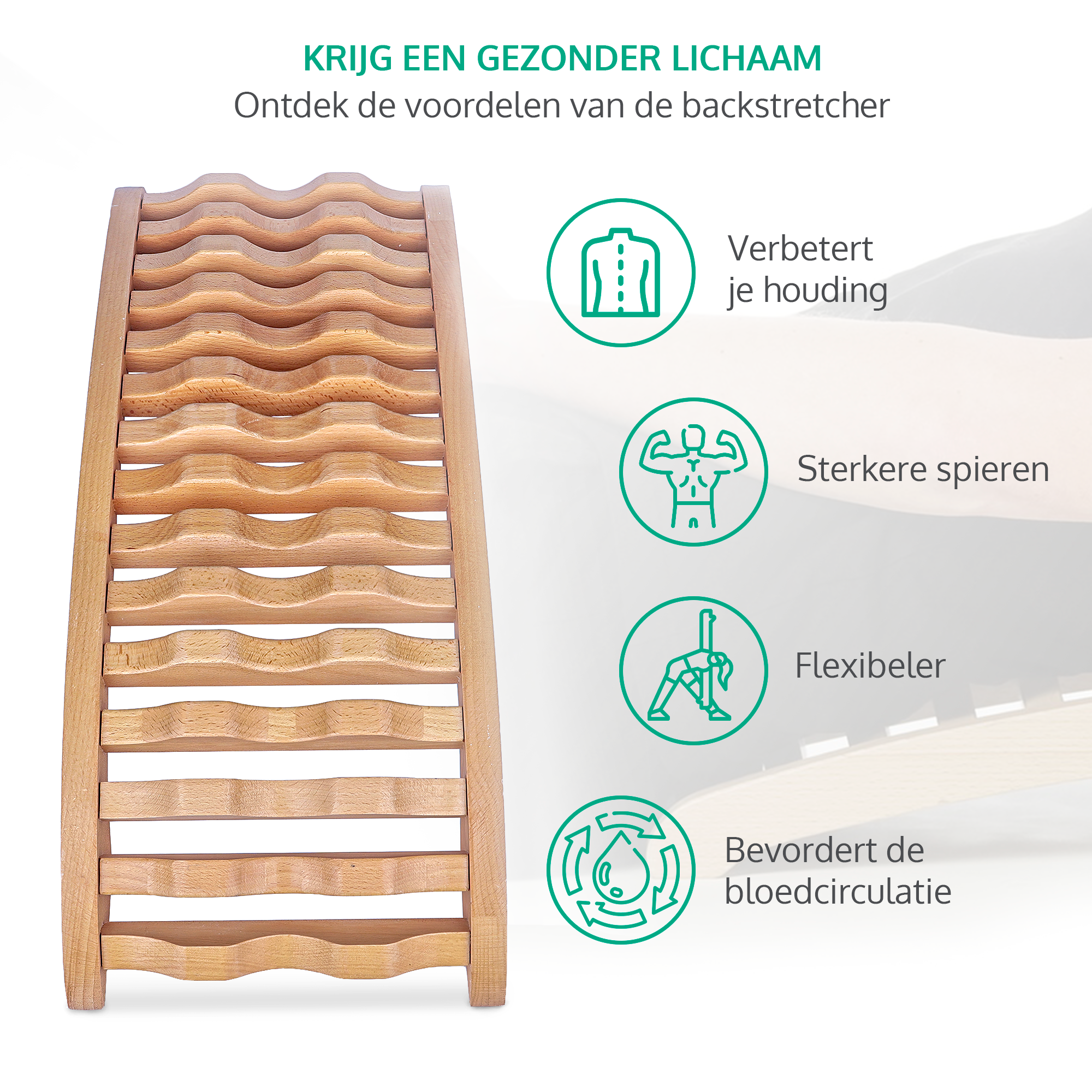 Dreaver Backstretcher - Beukenhout